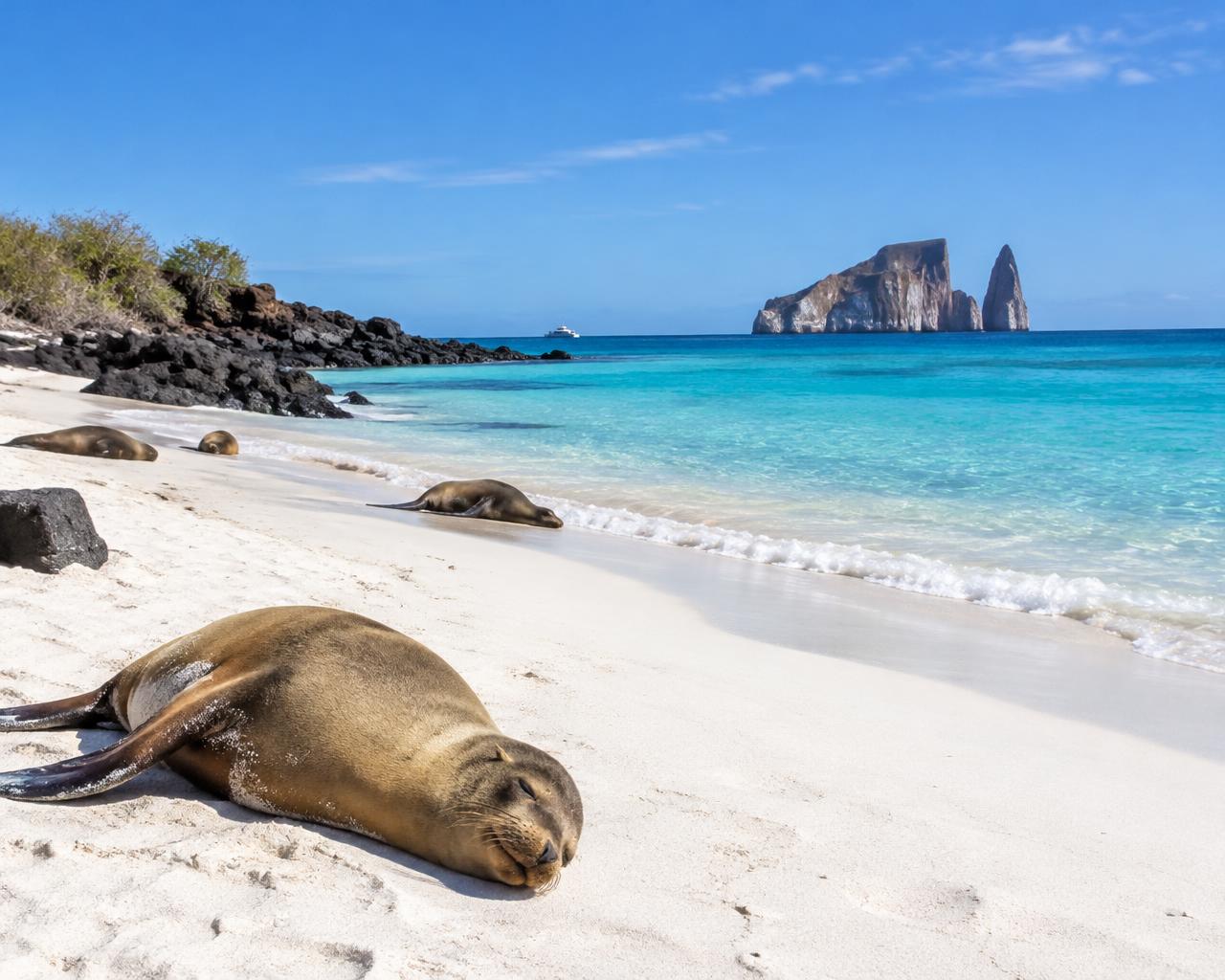 Cerro Brujo beach with Kicker Rock on the horizon